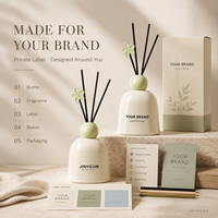 Diffuseur de parfum d'ambiance personnalisé avec bouteille en verre, diffuseur parfumé de luxe pour boutique de cadeaux, décoration de vente au détail, OEM, marque privée