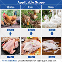 Ligne d'abattage de poulets OCEAN, petite machine à épiler et à échauffer les poulets pour l'abattage, à vendre