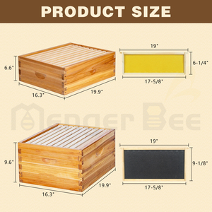 Kit complet de ruche Langstroth 10 cadres, 2 boîtes profondes + 2 boîtes moyennes, en bois de cèdre enduit de cire d'abeille, avec cadres - Product Image 3
