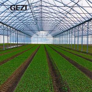 野菜フルーツブドウ園農業農業温室用超ファインスリップWhiteflyネットネット防虫網メーカー中国 - Product Image 3