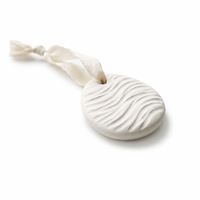 Diffuseur d'arômes solide en pierre de gypse écologique, ensemble d'ornements parfumés en plâtre pour huiles essentielles, moulage personnalisé, vente en gros OEM