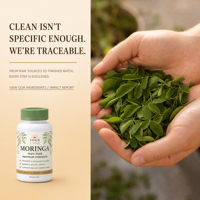 Capsules de Moringa, complément alimentaire naturel, soutien immunitaire, 0,5 g, 60 unités, usage quotidien pour adultes, régulation du transit intestinal et stimulation du métabolisme
