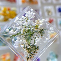 Décorations florales 3D colorées en fleurs séchées naturelles pour ongles en acrylique, accessoires de manucure d'été, marque Weiju, logo personnalisé