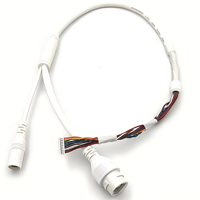 Conector RJ45 de 10 Pines, 28AWG, con Aislamiento de PVC, Conductor de Cobre, Conector DC Jack, Arnés de Cableado para Cámara IP CCTV