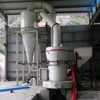 Broyeur Raymond ultrafin 3-50 Tph avec roulement et engrenage pour le traitement de la pierre/du gypse/de la craie/du talc/du minerai de fer, nouveau moteur