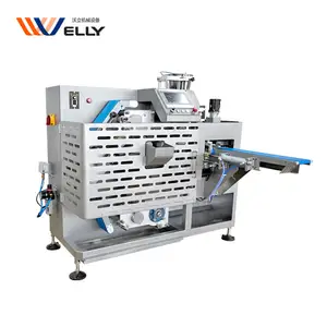 Automatic Stainless Electric Chinese Small Momo Big Wonton Forming Large Colorful Empanada Making 110V Dumpling Machine For Sale