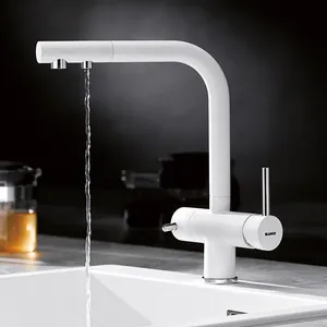 Siyah/krom mutfak arıtılmış musluk dışarı çekin çift saplı su filtresi musluğu 2/3 yollu sıcak soğuk mikser lavabo vinç mutfak evye musluğu