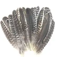 No local atacado de Alta Qualidade Da Pena diy turquia pena 15-30cm natural da pena do peru