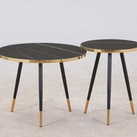 Table d'appoint moderne et élégante en acier inoxydable, légère, pour l'extérieur, idéale pour ferme, école, hôtel, salle de sport, salle de bain
