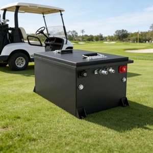 <span class=keywords><strong>Batteria</strong></span> al Litio Ferro Solfato per Golf Cart 48V 105Ah, Alta Prestazione, Potenza Elevata, Supporto Logo Personalizzato - Product Image 6