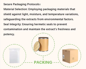 10:1 20:1薬用リグスチリド用バルクアンジェリカ根エキス粉末伝統的な中国の医療材料 - Product Image 6