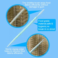 Vente en gros de produits publicitaires compostables personnalisés Brosse interdentaire jetable pour fruits par voie orale Cure-dents en plastique menthe à bas prix
