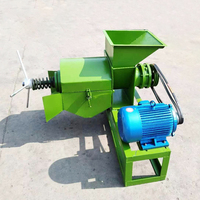 Btma Automatische Kleine Schroefmolen Palmolie Koude Pers Olie Raffinage Fabriek Verdrijving Extractiemachine Palmfruit Pit