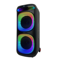 Haut-parleur Karaoké Sans Fil Populaire Double 8 Pouces 60W, Appairage TWS, Lumières LED pour Barbecue en Extérieur et Foyer de Camp