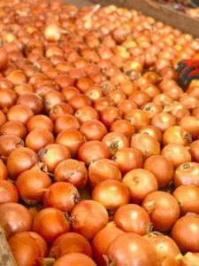 2025 cây trồng mới màu vàng đỏ hành tây chất lượng tốt nhất bán buôn giá rẻ giá vàng tươi hành tây - Product Image 5