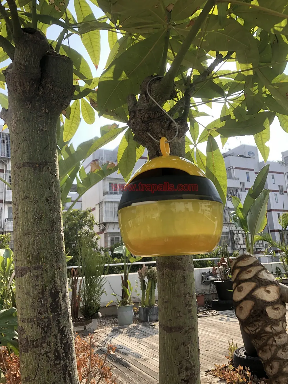 Señuelo de jugo de jardín popular al aire libre trampa de avispas de control de insectos de plástico con colador