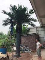 Pohon Palem Buatan Harga Grosir Terbaik dari Cina, Pohon Kurma Buatan untuk Dekorasi Supermarket