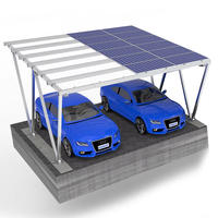 Sistem Pemasangan Kanopi Mobil Tenaga Surya Aluminium OEM untuk 2 Mobil, Beban Angin 60m per Detik, Beban Salju 3kN per Meter Persegi