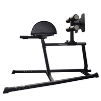 Banc d'entraînement pour chaise romaine, extension, musculation, fessiers, ischio-jambiers, vente en gros