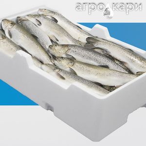 Thân thiện với môi cách điện <span class=keywords><strong>EPS</strong></span> Cá hộp nhiệt bọt mát cho hải sản lưu trữ cá đông lạnh Giao thông vận tải có thể tái chế xốp hộp cho - Product Image 4