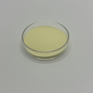 Oem nhãn hiệu riêng đông khô dứa bột trái cây dứa nước trái cây tập trung bột dứa tự nhiên hương vị bột - Product Image 2