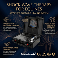Appareil de thérapie par ondes de choc en gros pour chevaux, soutien à la récupération des ligaments articulaires équins dans les écuries et les cliniques vétérinaires, avec valise de transport