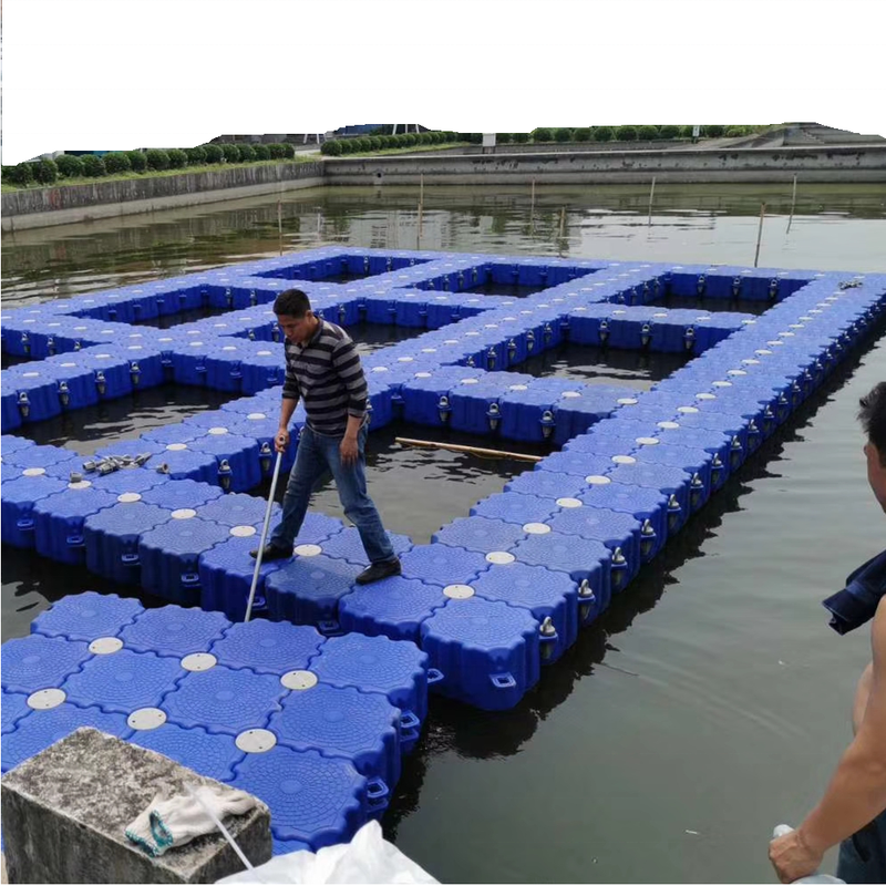 Vaile Netfish Offshore Fish Farming Spinit