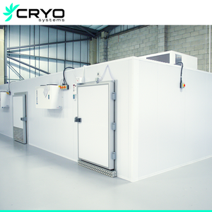Cryo đi bộ trong buồng Tủ đông phòng lạnh công nghiệp lạnh lưu trữ tủ đông lạnh giá phòng lạnh - Product Image 6