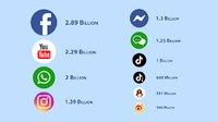 Service de développement d'applications de réseautage social personnalisé de premier ordre Version Internet prise en charge sur Linux en vente