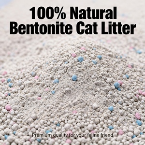Litière pour chat Benjie de haute qualité à bas prix, écologique, vente directe d'usine, forte absorption, sable de bentonite pour chatons, personnalisable - Product Image 2
