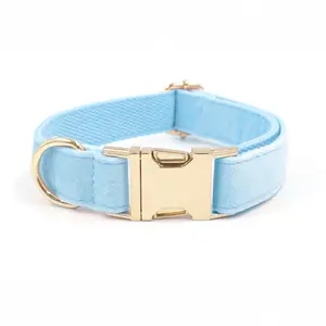 Collier de chien personnalisé laisse ensemble de noeud papillon en velours bleu clair de haute qualité