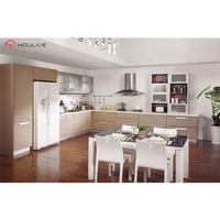 Meuble sous-évier en acrylique haute brillance |   Design moderne |   Cuisine d'appartement |   OEM personnalisé