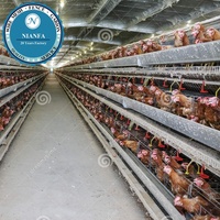 Cage à poulets de chair à prix d'usine, cage en treillis soudé pour l'élevage de cailles et de poulets, directement de l'usine de Guangzhou