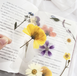 Marcapáginas de flores secas selladas de plástico, marcador de espécimen botánico, hoja plástica <span class=keywords><strong>Real</strong></span>, marcador de libros plastificado, palo de disparo - Product Image 2