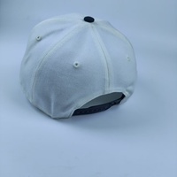 Gorra de Béisbol de 6 Paneles con Logotipo Bordado en 3D Personalizado, Mezcla de Lana, Cierre Trasero Ajustable, Tejido Transpirable e Impermeable