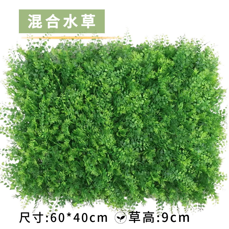 Mixed aquatic plants