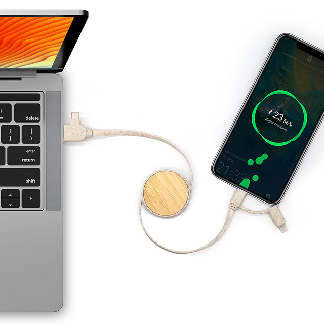 Eco Promotional Gift Items 4 in 1 USB C Cable Multi Charger Retractable USB Charging Cable for Wholesale