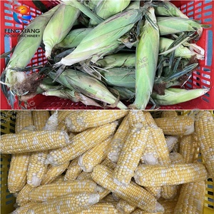 4-11T/h Farm-Use Stainless Steel Motor Automatic <b>Sweet</b> Corn Dehusking <b>Machine</b> High Efficiency Fresh Corn Processing - Product Image 2