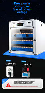 136 trứng. Điều khiển tự động Máy ấp trứng và loại thiết bị ấp mới cho trứng và Trại giống. - Product Image 6
