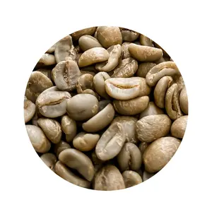 ロブスタ緑豆低価格コーヒー豆ローストプライベートラベルコーヒーOemサービスジュートバッグベトナム製品メーカー