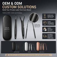 Kit de Nettoyage Buccal Personnalisable Noir – Ensemble de Trois Outils en Acier Inoxydable avec Étui Métallique, Faible MOQ