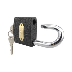 Cadenas en fer de haute qualité, antivol, cadenas populaires pour porte - Product Image 5