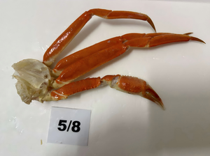 <span class=keywords><strong>Crabe</strong></span> <span class=keywords><strong>des</strong></span> <span class=keywords><strong>neiges</strong></span> congelé en grappe, <span class=keywords><strong>prix</strong></span> compétitif, <span class=keywords><strong>crabe</strong></span> <span class=keywords><strong>des</strong></span> <span class=keywords><strong>neiges</strong></span> de bonne qualité - Product Image 4