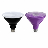Ampoule LED PAR38 6W E26 E27 B22 IP65 pour éclairage extérieur paysager rouge vert bleu jaune violet pour jardin et arbres