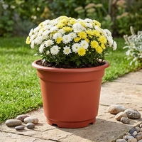 Pot de fleurs moderne en plastique pour jardin, pots de pépinière en plastique pour la maison et pot de jardin rond, vente en gros