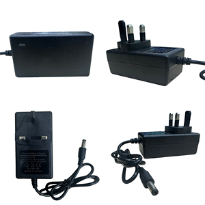 Adaptateur secteur OEM ODM avec échantillon gratuit, 5V - 24V, 2A-6A, avec plusieurs ports de sortie et prise, chargeur de batterie électrique - Product Image 4