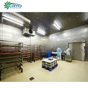 Máquina de sala de procesamiento de carne fresca, pollo, almacenamiento en frío, planta de procesamiento