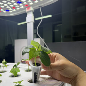 Systèmes de culture intérieure Turbomol Mini jardin intelligent pour la maison avec éclairage LED pour la culture hydroponique - Product Image 5