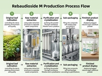 Poudre de Stévia Biologique BeimooBio de Haute Qualité, 95% Pure, Rebaudioside M (Reb M), Édulcorant Alimentaire, Additifs Alimentaires pour Achat en Gros