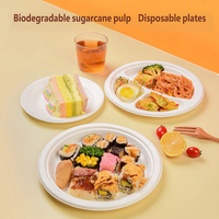Assiettes rondes jetables en pulpe de bagasse blanche, compostables et écologiques, pour desserts, activités artistiques pour enfants, anniversaires et réceptions.